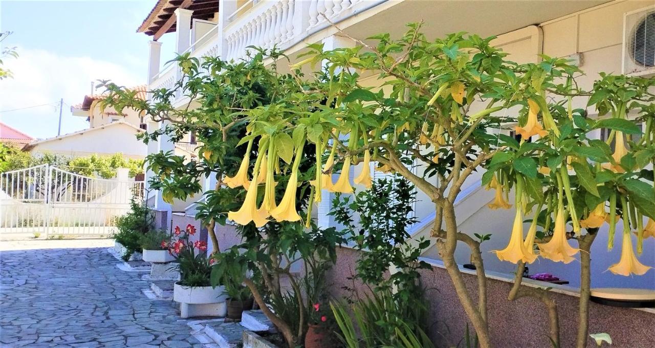 Eleni Apartments Sant George Beach 아기오스 게오르기오스 외부 사진